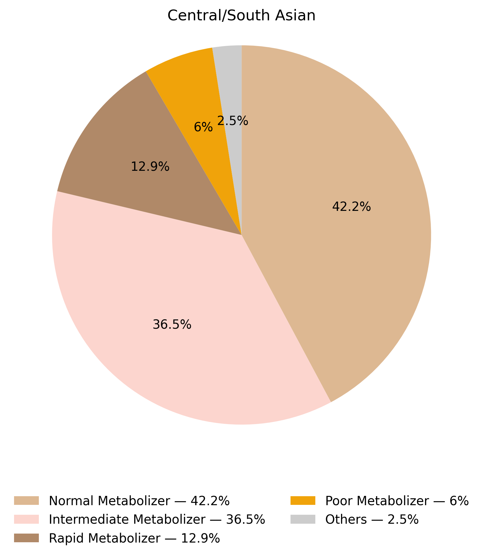 CYP2B6表現型於中亞／南亞族群的比例圖