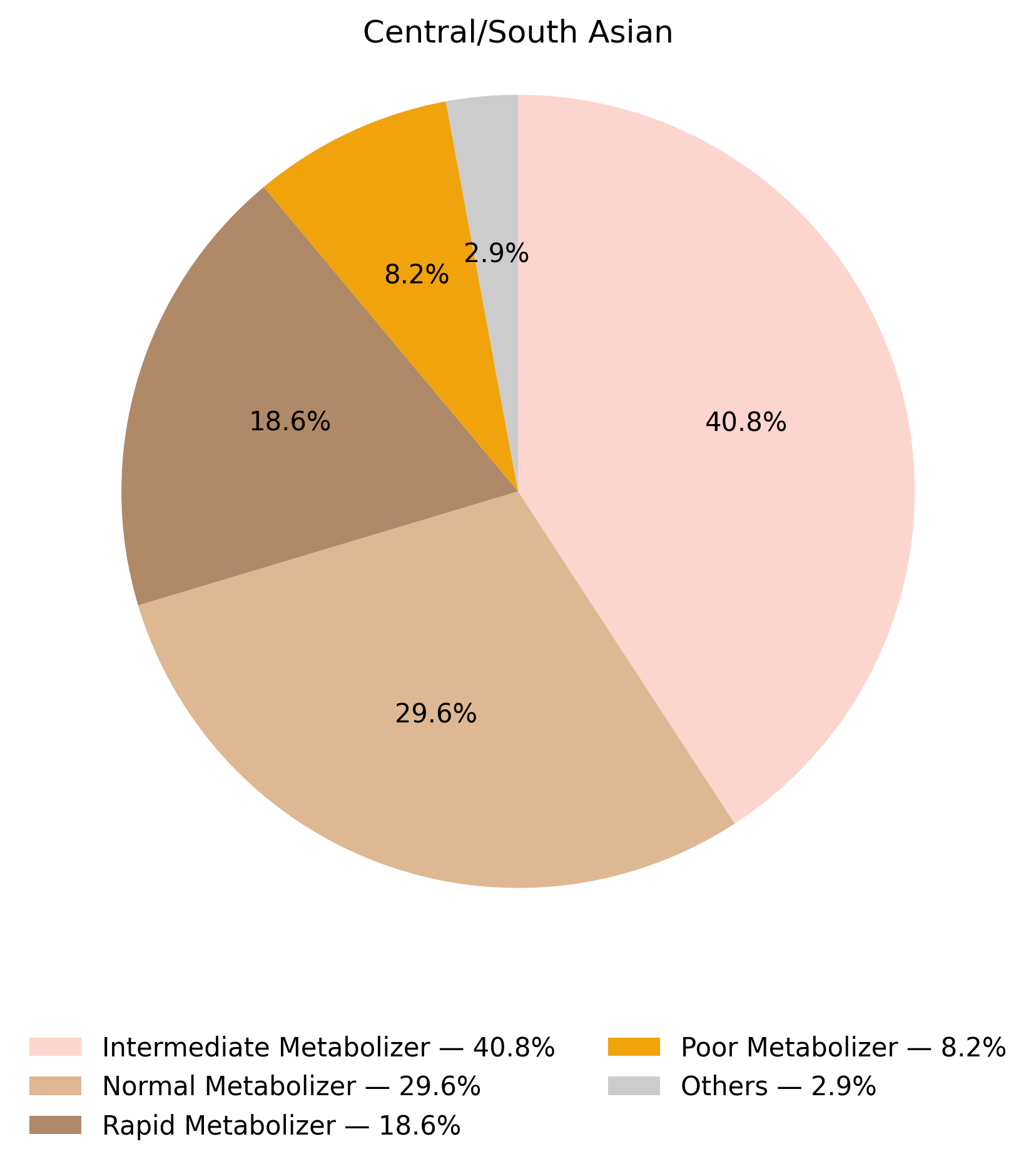 CYP2C19表現型於中亞／南亞族群的比例圖